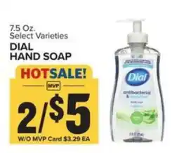 Food Lion Dial Hand Soap offer