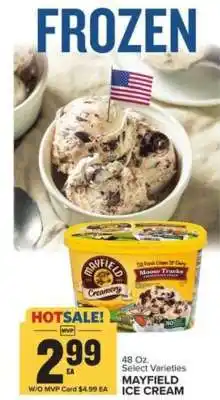 Food Lion Mayfield Ice Cream offer
