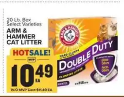 Food Lion Arm & Hammer Cat Litter offer