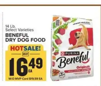 Food Lion Beneful Dry Dog Food offer