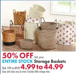 Boscov's ENTIRE STOCK Storage Baskets offer