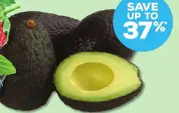 Grocery Outlet Hass Avocados offer