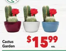 Vallarta Supermarkets Cactus Garden offer