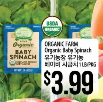 Hmart ORGANIC FARM Organic Baby Spinach offer