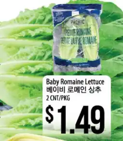 Hmart Baby Romaine Lettuce offer