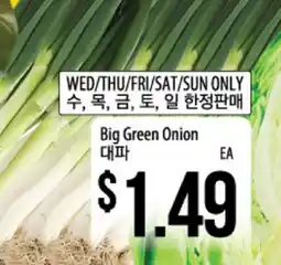 Hmart Big Green Onion offer
