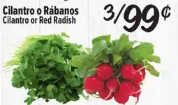 El Super Fresh Cilantro o Rábanos offer