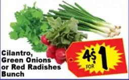 Superior Grocers Cilantro, Green Onions or Red Radishes Bunch offer
