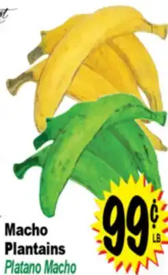 Superior Grocers Macho Plantains offer