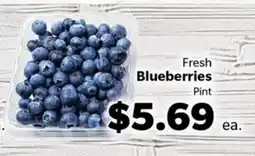 Living Fresh Market Fresh Blueberries offer