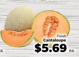 Living Fresh Market Fresh Cantaloupe offer