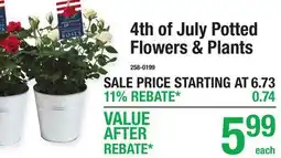 Menards 4th of July Potted Flowers & Plants offer