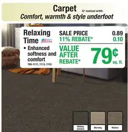 Menards Carpet offer