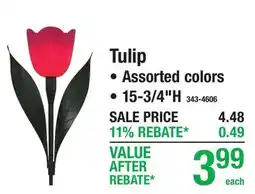 Menards Tulip offer