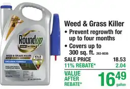 Menards Weed & Grass Killer offer