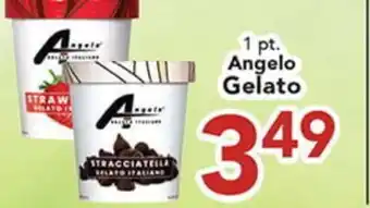 Eurofresh Market Angelo Gelato offer