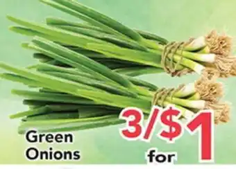 Eurofresh Market Green Onions offer