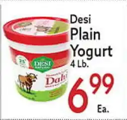 World Fresh Market Desi Plain Yogurt offer