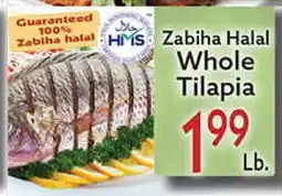 World Fresh Market Zabiha Halal Whole Tilapia offer