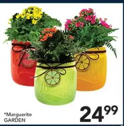 Pete's Fresh Market Marguerite GARDEN offer