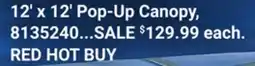 Ace Hardware Pop-Up Canopy offer