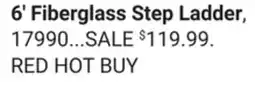 Ace Hardware Werner 6' Type I Fiberglass Step Ladder, 250 Lb. Capacity offer