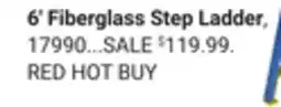 Ace Hardware 6' Fiberglass Step Ladder offer
