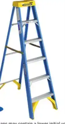 Ace Hardware Werner 6' Type I Fiberglass Step Ladder 250 Lb. Capacity offer