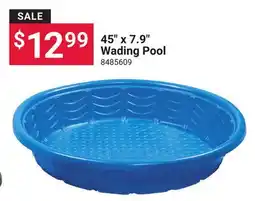 Ace Hardware 45 x 7.9 Wading Pool offer