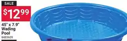 Ace Hardware 45 x 7.9 Wading Pool offer