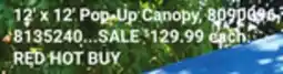 Ace Hardware 12' x 12' Pop-Up Canopy offer