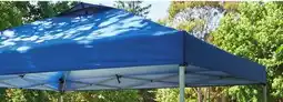 Ace Hardware 10' x 10' Pop-Up Canopy offer