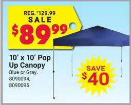 Ace Hardware 10' x 10' Pop Up Canopy offer
