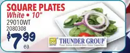 Restaurant Depot SQUARE PLATES offer