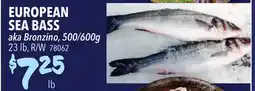 Restaurant Depot EUROPEAN SEA BASS offer