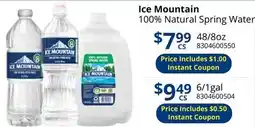 Restaurant Depot Ice Mountain 100% Natural Spring Water offer