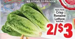 Angelo Caputo's Fresh Market Farm Fresh Crisp Romaine Lettuce bunches offer