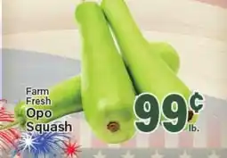Angelo Caputo's Fresh Market Farm Fresh Opo Squash offer