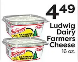 Rich's Fresh Market Ludwig Dairy Farmers Cheese offer
