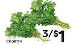 Rich's Fresh Market Cilantro offer