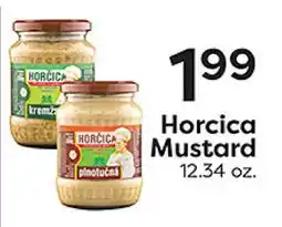 Rich's Fresh Market Horcica Mustard offer