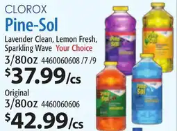 Restaurant Depot CLOROX Pine-Sol offer