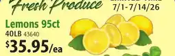 Restaurant Depot Lemons offer