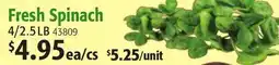 Restaurant Depot Fresh Spinach offer