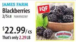 Restaurant Depot JAMES FARM Blackberries offer