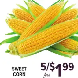 Cermak Fresh Market SWEET CORN offer
