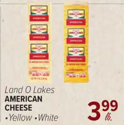 Cermak Fresh Market Land O Lakes AMERICAN CHEESE offer