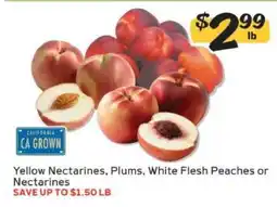 Winn Dixie Yellow Nectarines, Plums, White Flesh Peaches or Nectarines offer