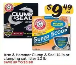 Winn Dixie Arm & Hammer Clump & Seal or clumping cat litter offer