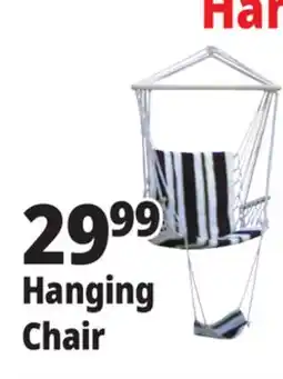 Ocean State Job Lot Hanging Chair offer